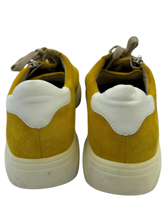 Solidus sneakers 39