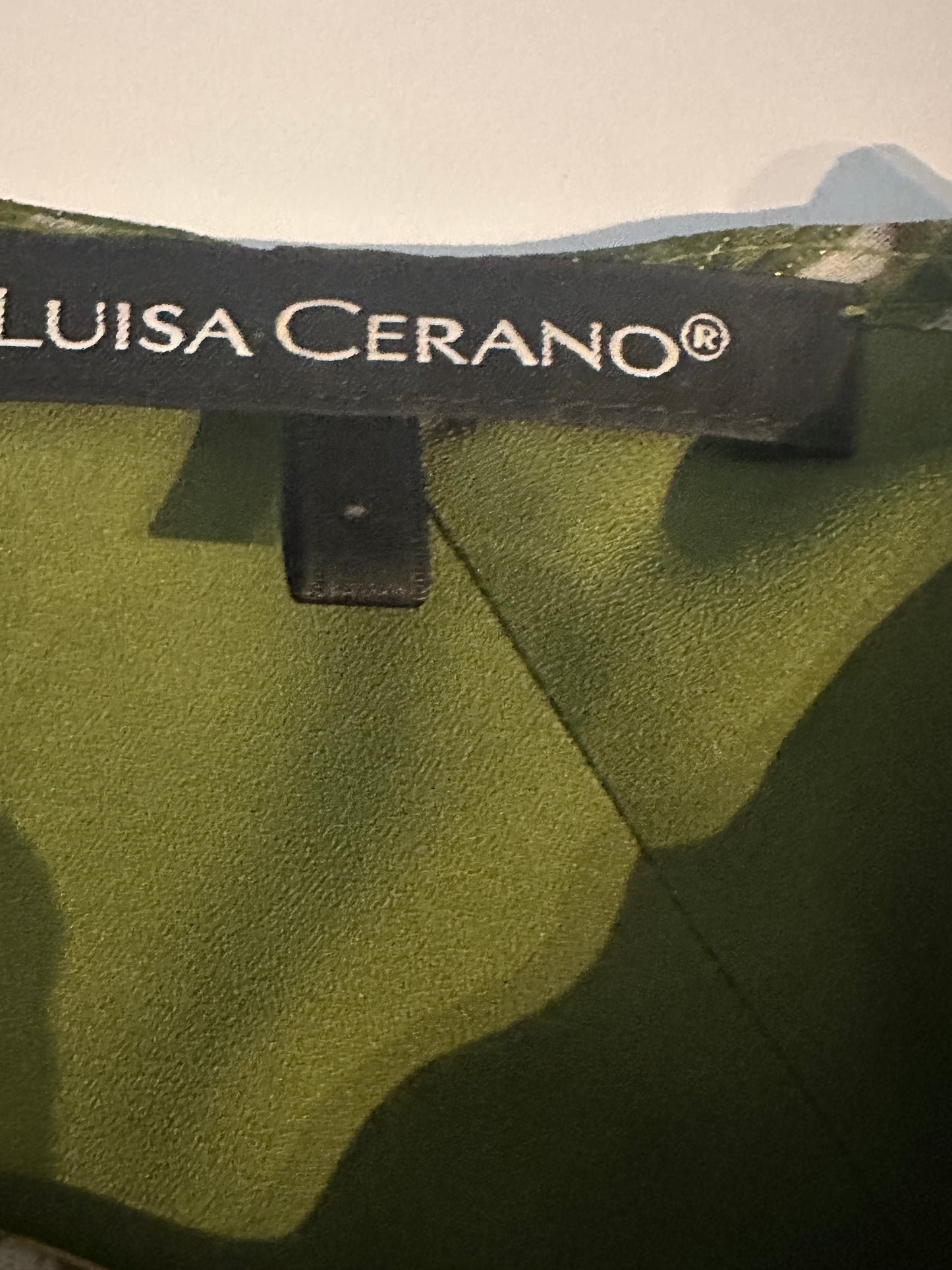 Luisa Cerano jurk XL