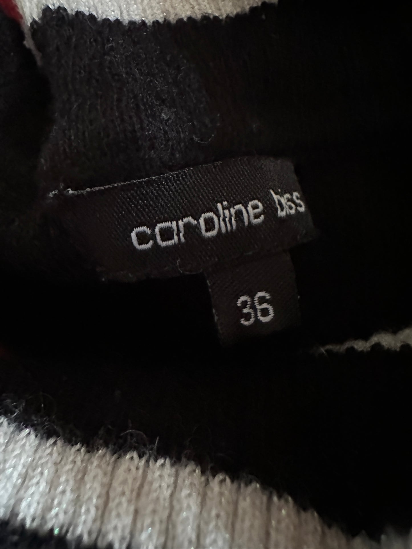 Caroline Biss trui S