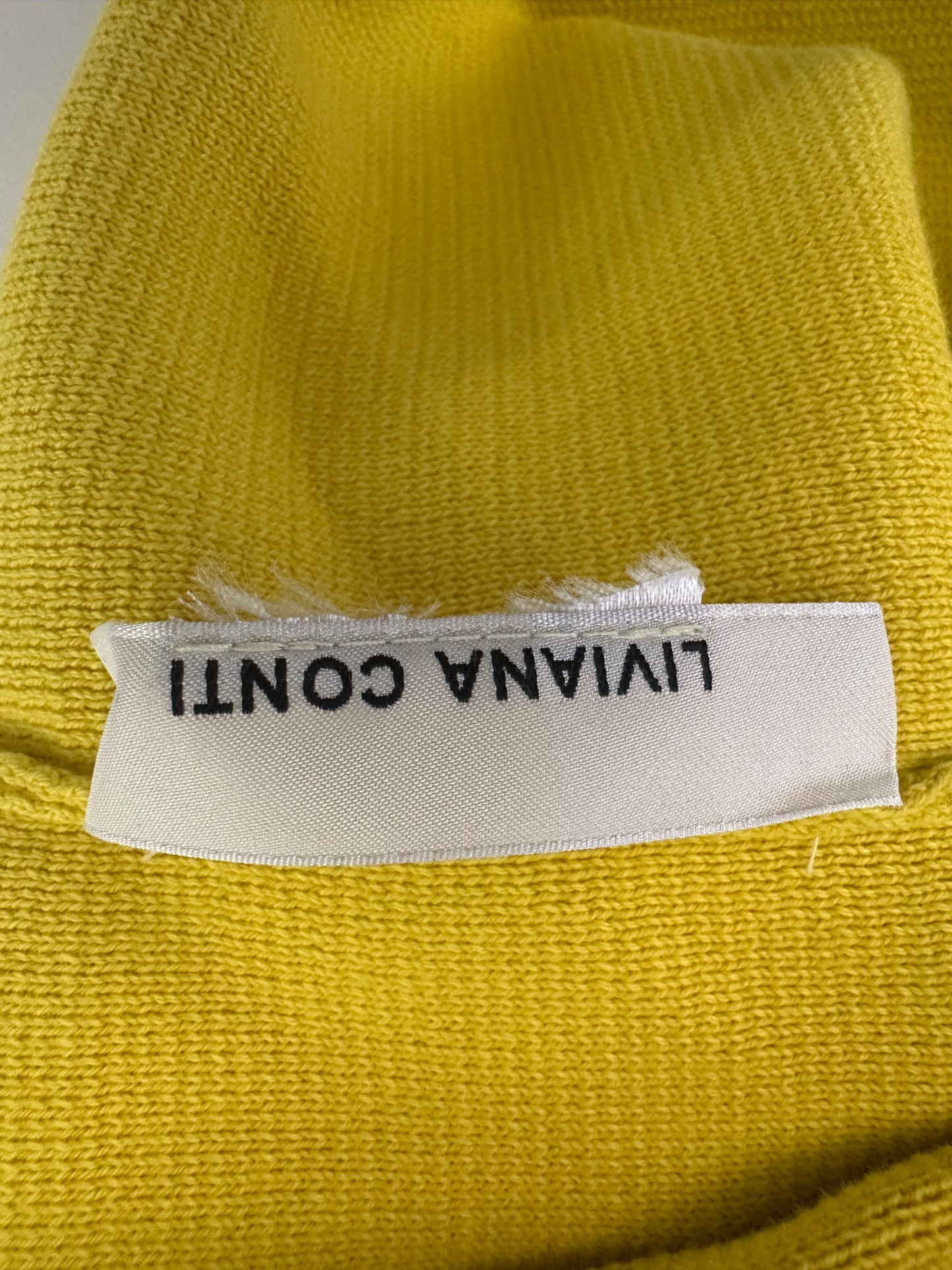 Liviani Conti trui L