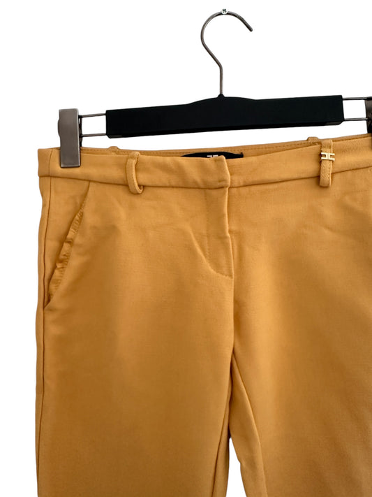 Elisabetti Franchi Hose S