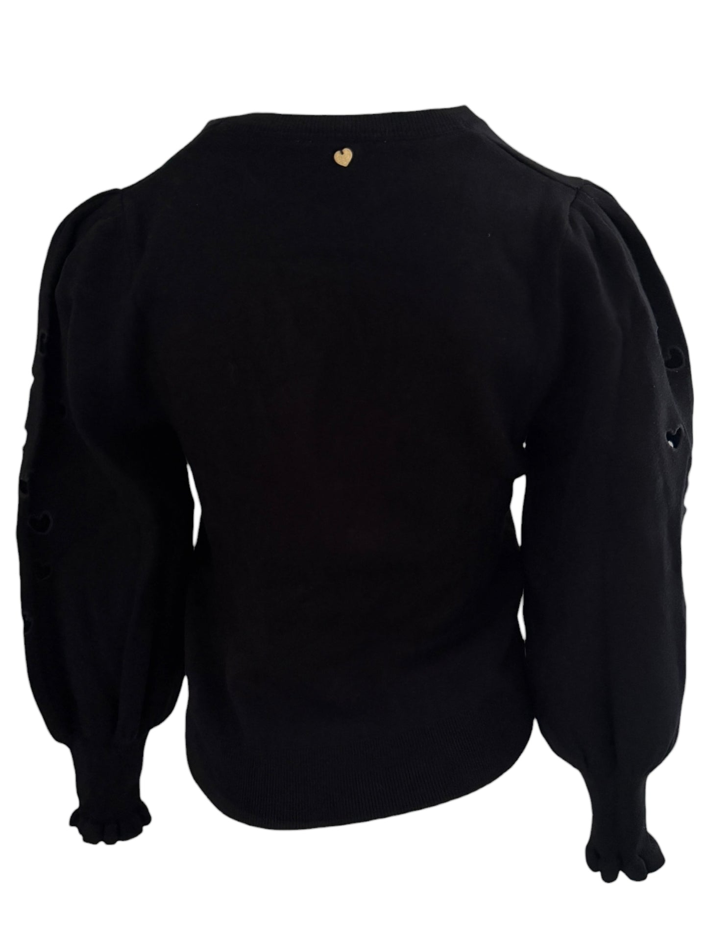 Fabienne Chapot trui XS