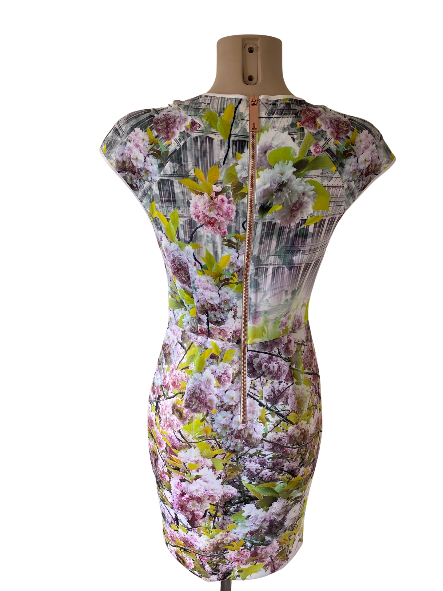 Ted Baker Kleid S