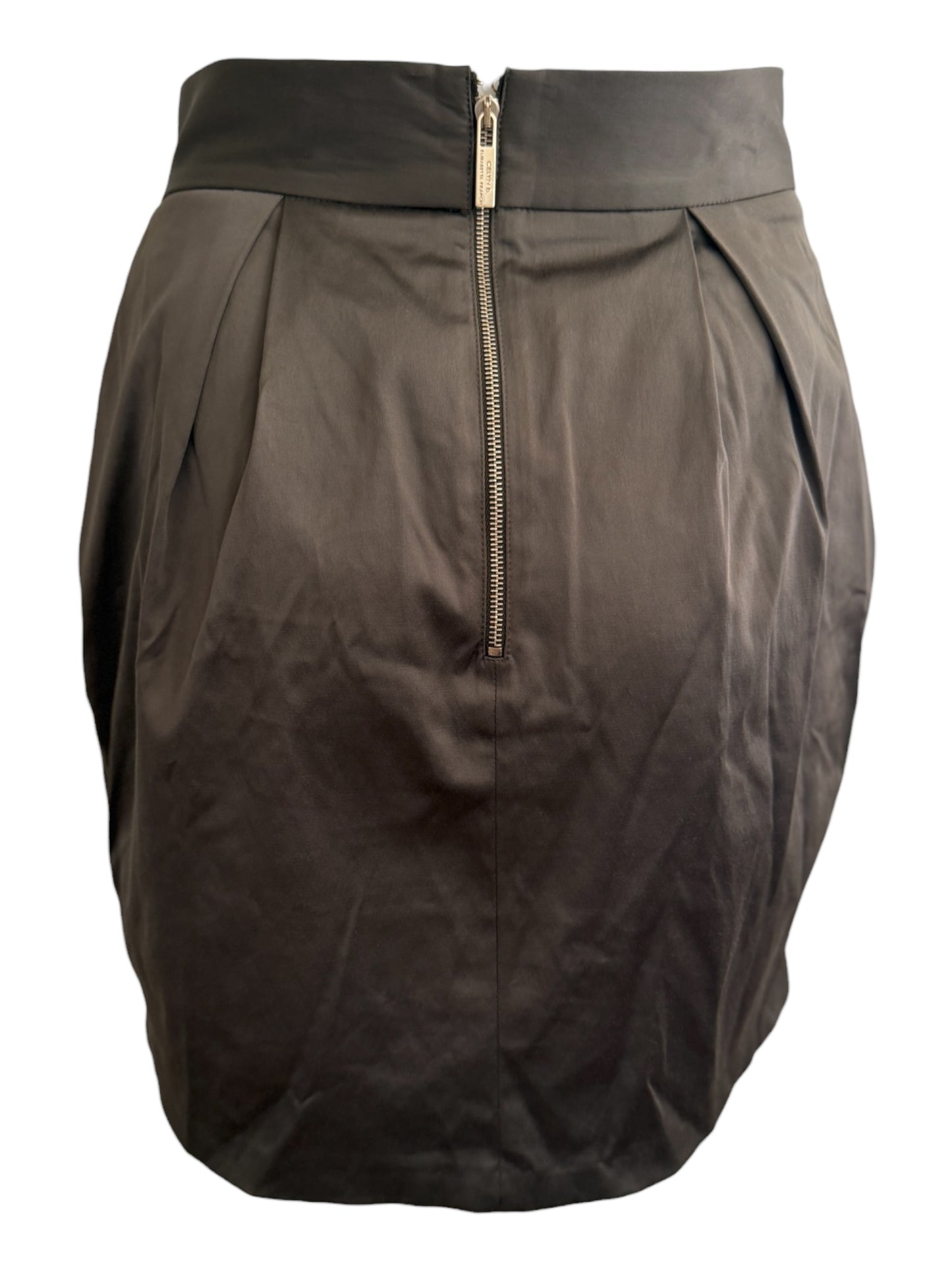 Elisabetti Franchi skirt XS