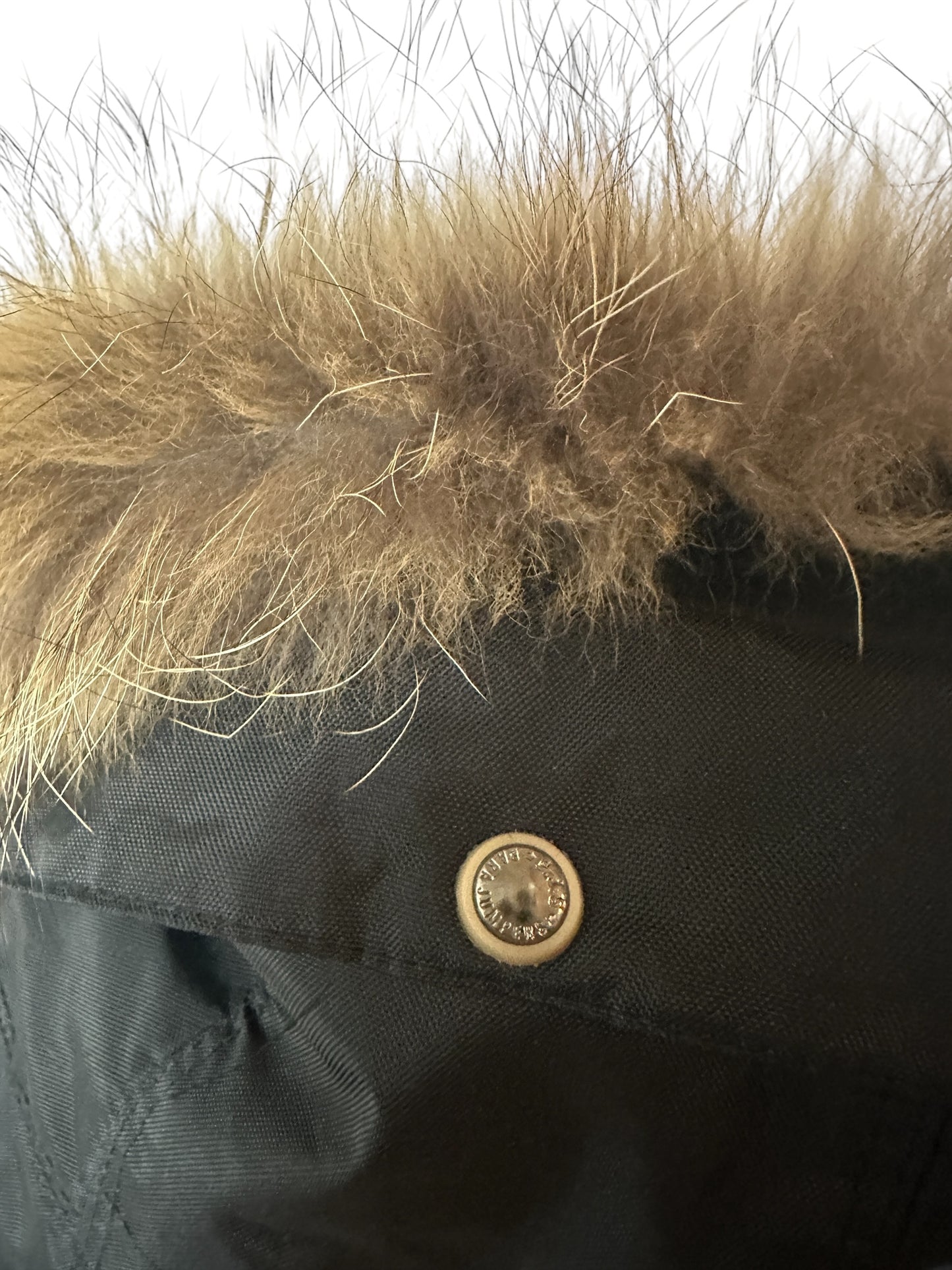 Parajumpers winterjas M