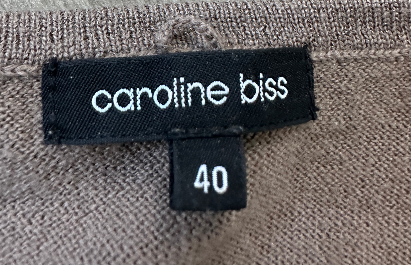 Caroline Biss trui L