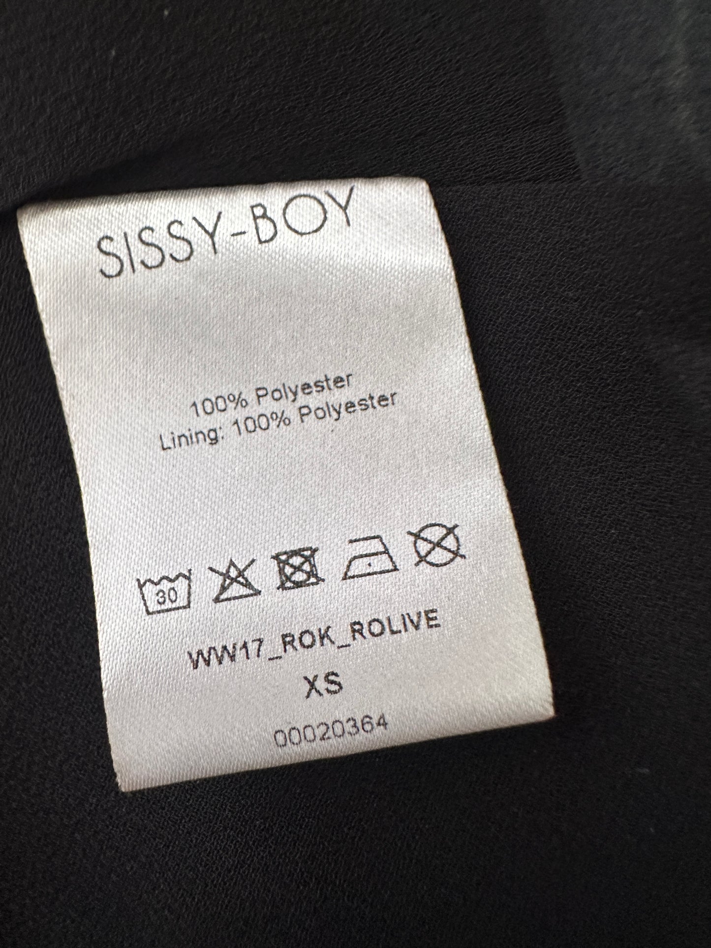 Sissy Boy rok S