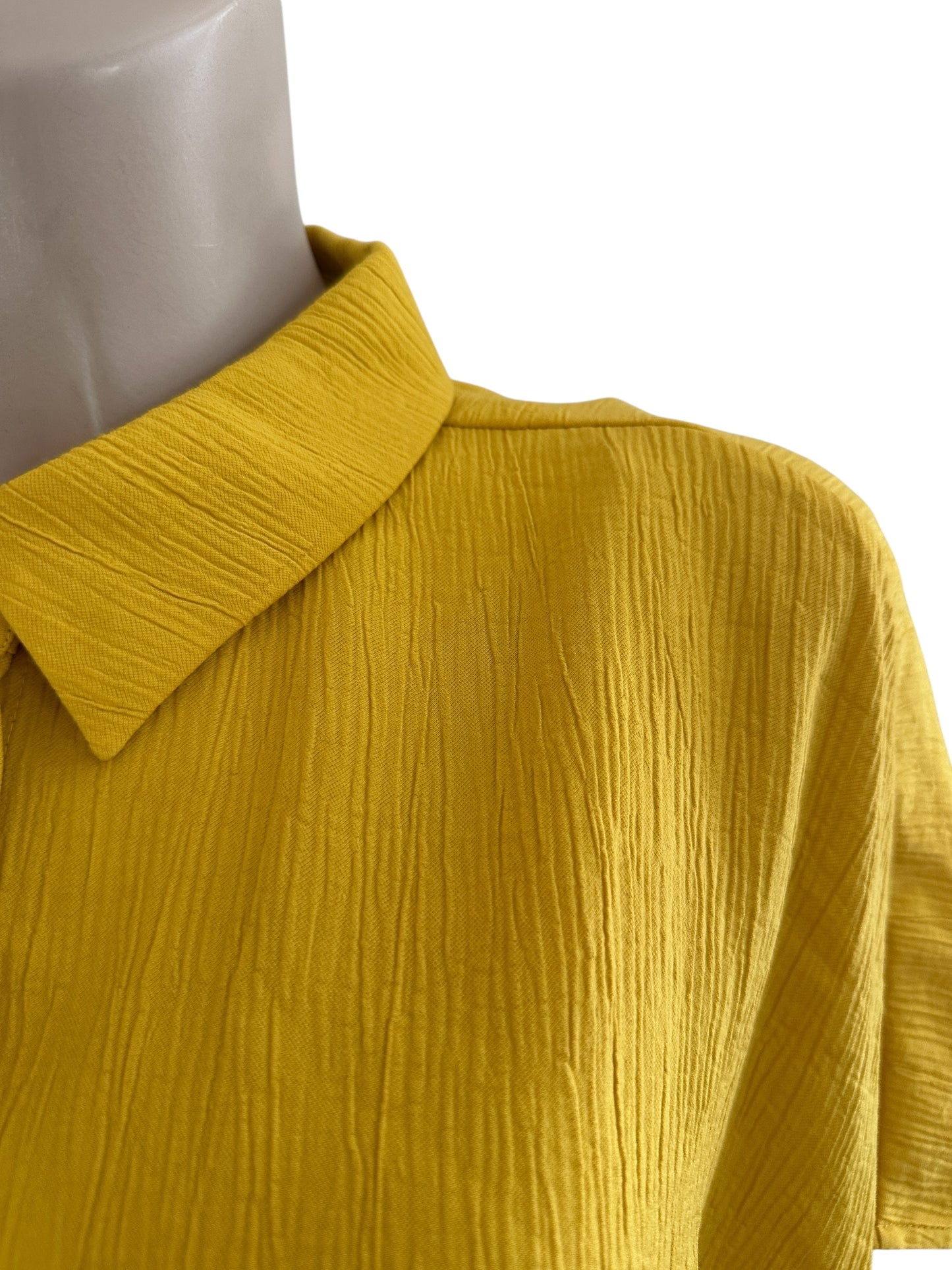 Expresso blouse NIEUW 3XL